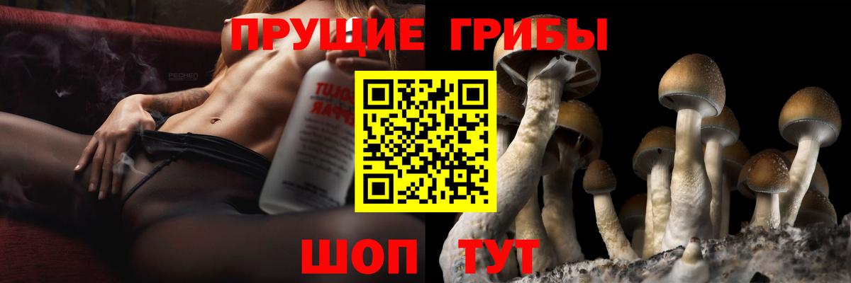 Псилоцибиновые грибы Psilocybine cubensis  Вход с VPN  Сертолово 